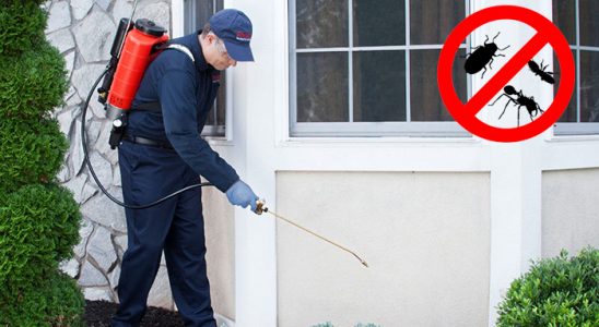 Gölhisar Kemirgen İlaçlama böcek ilaçlama ve haşere kontrolü — ilaclama-tr.com